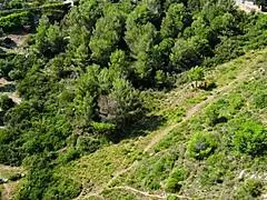 Drone caught this couple fucking in public! 😲