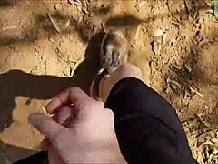 i'm jerking off in the bush, hairy and public like