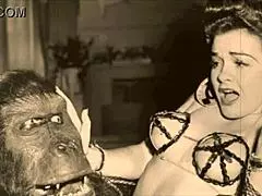 Dark Lantern Entertainment Presents Vintage Petmania