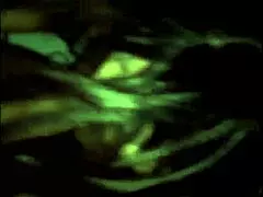 rico mature guy fucks me hard, part two of the story.