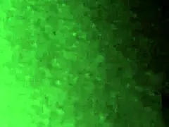 Car Ride Oral Pleasure