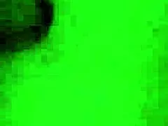 Stepson rips pantyhose on stepmom while father is away.