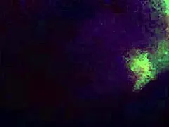 a video clip from february 17, 2015.