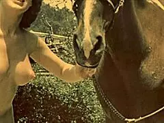 Dark Lantern Entertainment Unveils Women With Animals in Retro Style