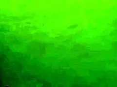 Carmella Santiago Stuffs Her Creamy Cunt Hard