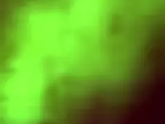 Wet Latina Ass Massage With Oiled Amateurs