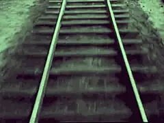 Hey, check out this vintage hairy pussy collection from two centuries ago