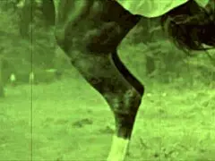 Hej, tjek disse vintage erotiske bekendelser fra Dark Lantern