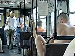 Søt jente og storpikk-fyr kliner til med vill buss-sex offentlig