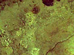 Dirty Feet Fetish Play. Casual Exploration.