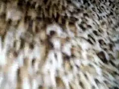 bitch cant get enough of my cock