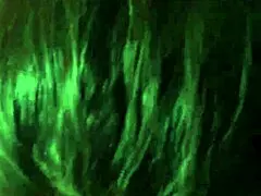 My Wife Loves Sucking My Cock Deep