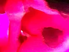 Brazilian Brunette Sucks And Swallows Everything!