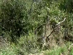 क्या इससे ज्यादा गर्म है कि एक पेटाइट 18+ स्पैनिश ब्रूनेट पहाड़ों में बड़ा लंड चूसती और राइड करती है?