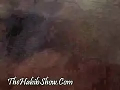 Hood bitch gets fucked by gangbangers part 2