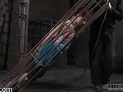 do you want zealous arse whipping, playgirl?