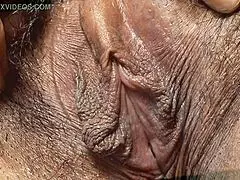 uh, female textures, like, black ebony hd 1080p close-up hairy pussy sex by rumesco