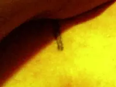 Dragon Fly And Sexaddic In Outdoor Adventure.