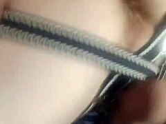 Gaj's Journey Through Life