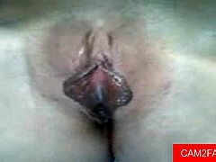 Sexy Webcam Amateur Gives Blowjob Before Intense Anal Assfucking Action