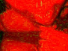 Chupando mi verga como una experta mi rica puta con grandes tetas y culo.