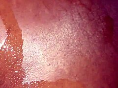 Fat dick willy bends over for doggystyle pussy play