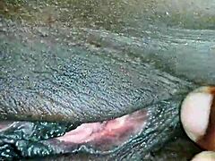 hornyzee explores subtle sensual desires