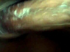 The big ilee stands out as a fascinating subject worth exploring in greater detail today