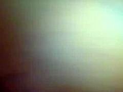 The big ilee stands out as a fascinating subject worth exploring in greater detail today