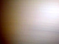 The big ilee stands out as a fascinating subject worth exploring in greater detail today