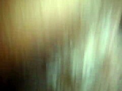 The big ilee stands out as a fascinating subject worth exploring in greater detail today