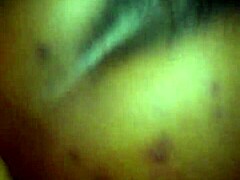 The big ilee stands out as a fascinating subject worth exploring in greater detail today