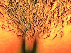 nelly gets banged doggystyle and bent over for multiple orgasms with facial cumshots