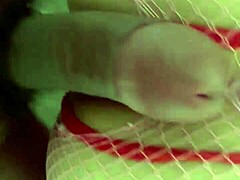 i feel so turned on watching latina milf tiffanny in pantyhose using anal beads homemade