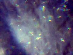 Bold Release of More Cum to Reach and Impregnate You