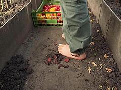 Squashing Tomatoes Barefoot in the Dirt for Relaxing ASMR Experience