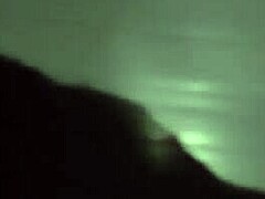 Subtle Allure Of Roludo Engaging With Adventurous Companion