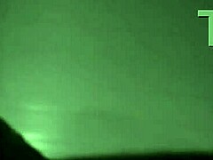 Subtle Allure Of Roludo Engaging With Adventurous Companion