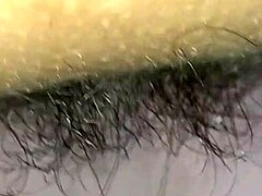 hey, isn't that hairy pussy just begging for some attention?