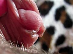 Huge Clit Pulsing In Closeup As Amateur Reaches Intense Homemade Orgasm.