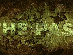 i love watching this vintage porn challenge pitting 1860s hairy pussy action against 1960s blowjobs