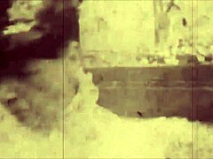 Back in the day, artists captured vintage erotic scenes with hairy beaver details in retro style