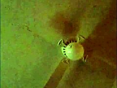 side chick compilation of fun moments and adventures