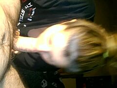 Specific Overview of Video Clip Number 0080