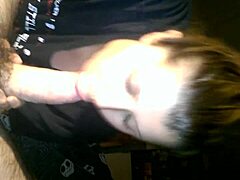 Specific Overview of Video Clip Number 0080