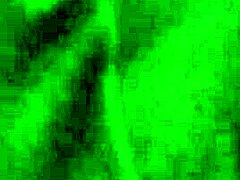 Coroatransgaucha explores intriguing aspects of personal style