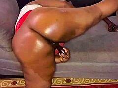 Nigarchrist update 1514 on Petal from June 24 2025