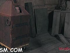 Hey, check out this wild thraldom scene with a horny slut sucking and fucking rough cock