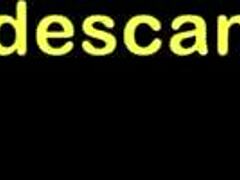 massive cock sucked deep in wild blowjob action!