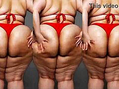 Why compile ssbbw moments with huge asses and bellies in milf bbw granny edits?